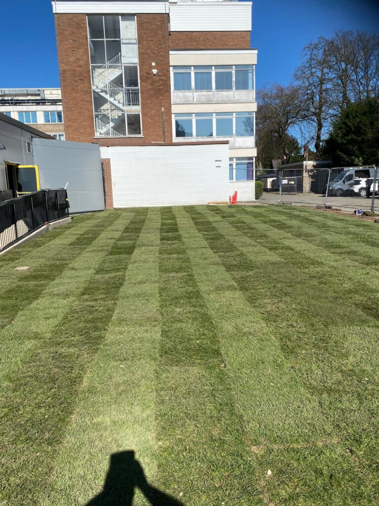 Natural grass turfing in edgbaston